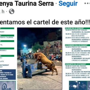 TOROS SERRA DEL 8 AL 23 DE AGOSTO 2025