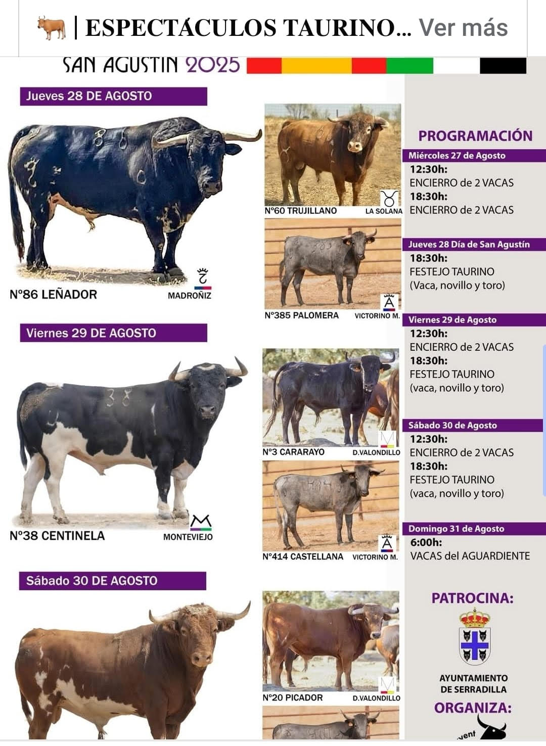 TOROS SERRADILLA DEL 27 AL 31 DE AGOSTO
