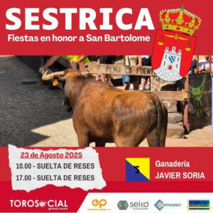 TOROS SESTRICA 23 AGOSTO 2025