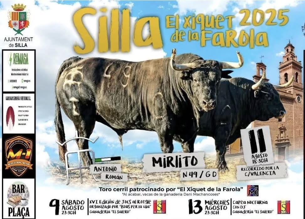 TOROS SILLA 11 AGOSTO 2025