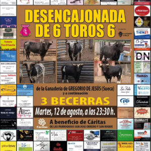 TOROS SILLA 12 AGOSTO 2025