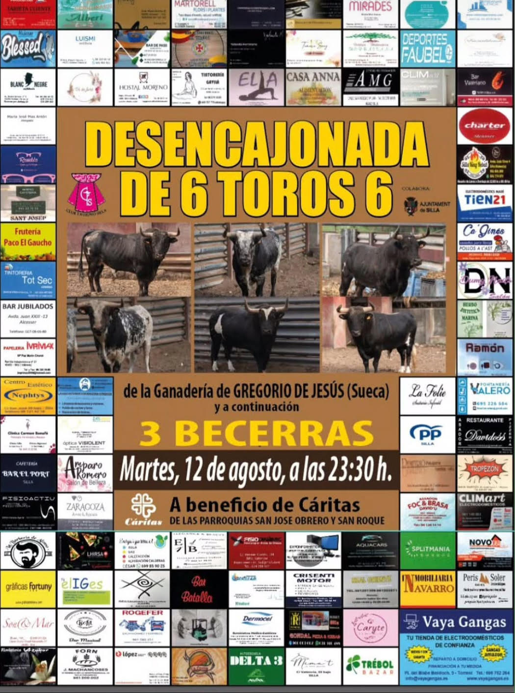 TOROS SILLA 12 AGOSTO 2025