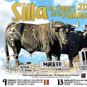 TOROS SILLA 13 AGOSTO 2025
