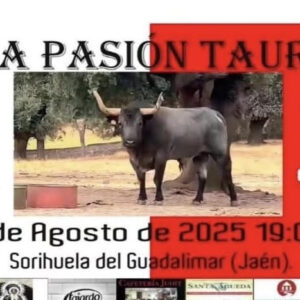 TOROS SORIHUELA DEL GUADALIMAR 24 AGOSTO 2025