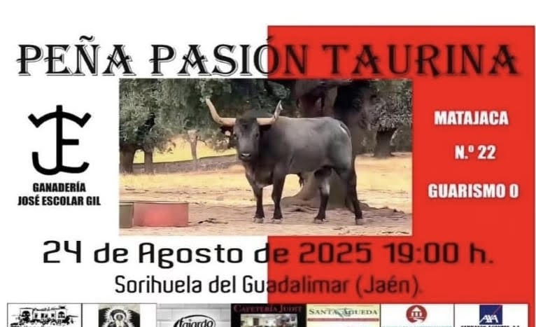 TOROS SORIHUELA DEL GUADALIMAR 24 AGOSTO 2025