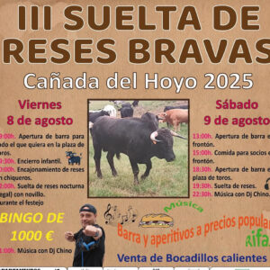 TOROS SUELTA DE RESES 8 Y 9 DE AGOSTO 2025