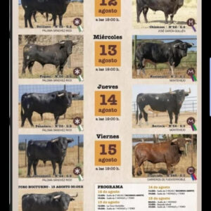 TOROS TARAIZ DE LA VEGA DEL 12 AL 15 DE AGOSTO 2025