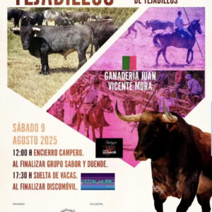TOROS TEJADILLO 9 AGOSTO 2025