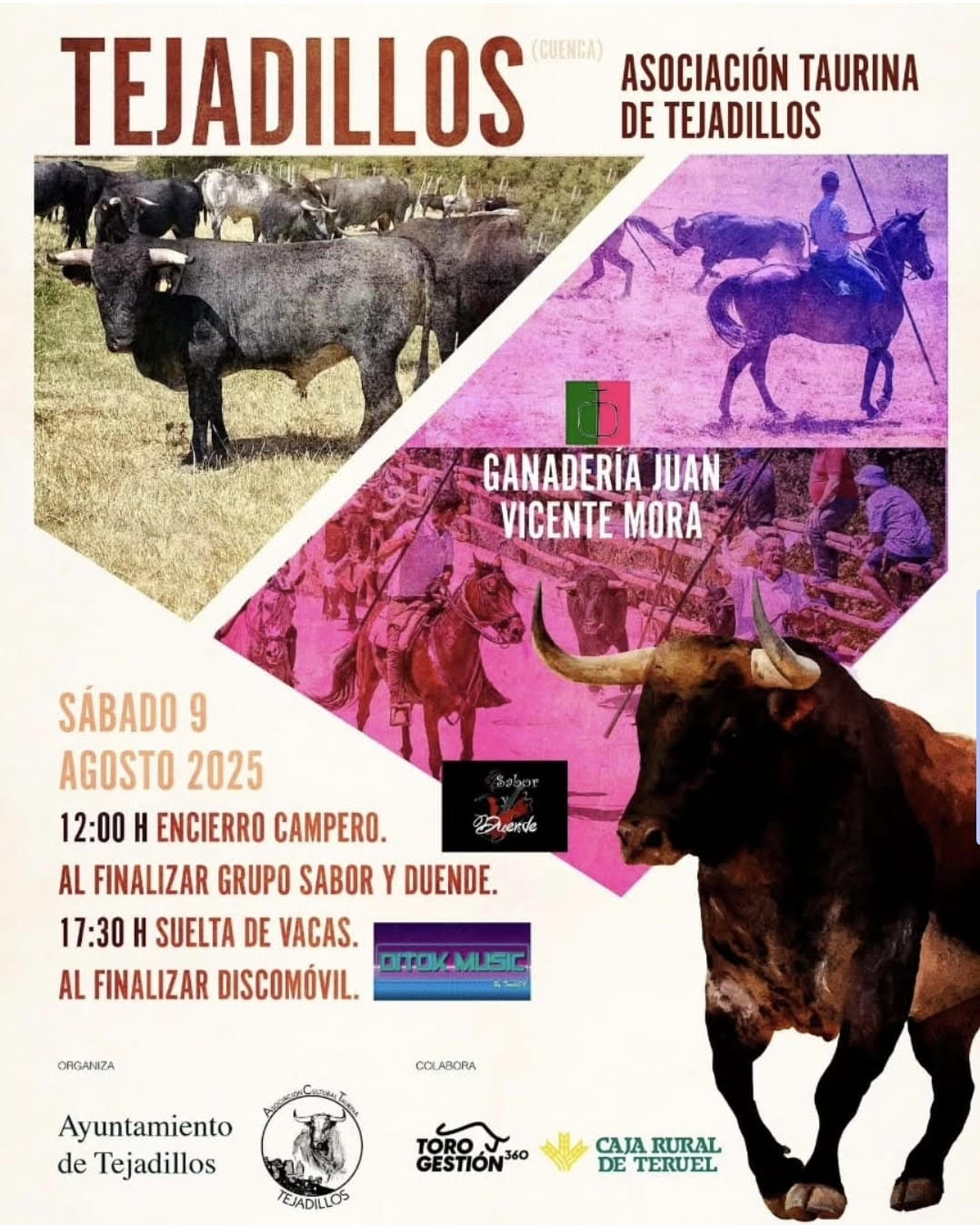 TOROS TEJADILLO 9 AGOSTO 2025