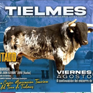 TOROS TIELMES 8 AGOSTO 2025