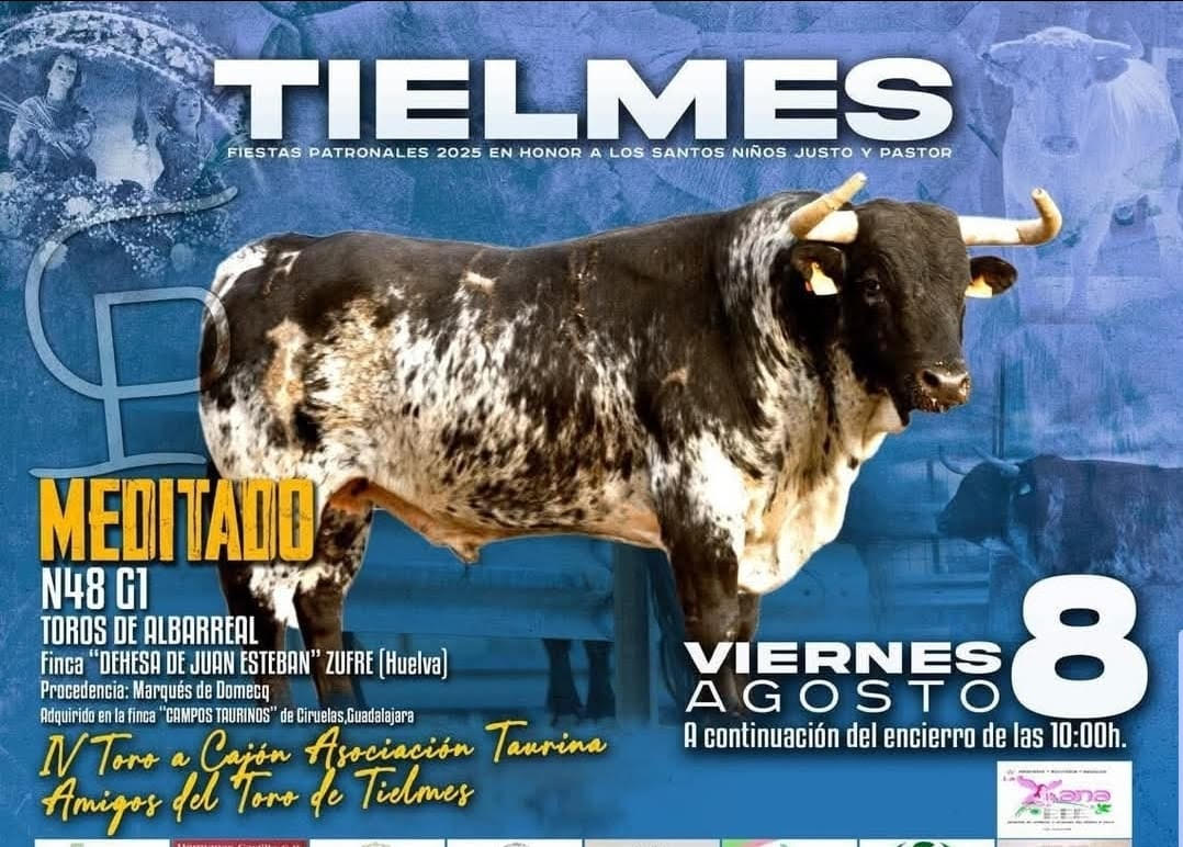 TOROS TIELMES 8 AGOSTO 2025
