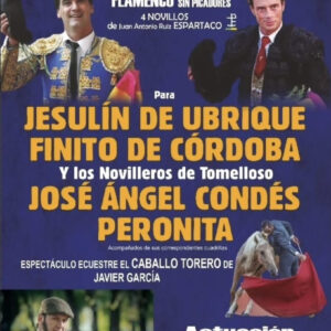 TOROS TOMELLOSO 28 AGOSTO 2025