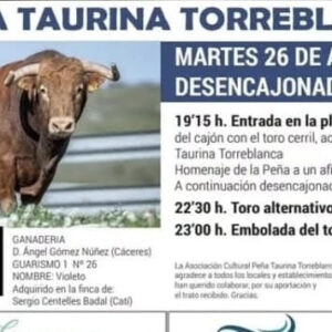 TOROS TORREBLANCA 26 AGOSTO 2025