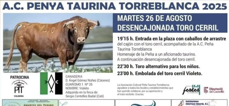 TOROS TORREBLANCA 26 AGOSTO 2025