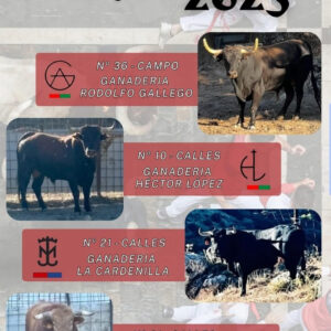 TOROS TORREJON DEL REY DEL 15 AL 17 DE AGOSTO 2025