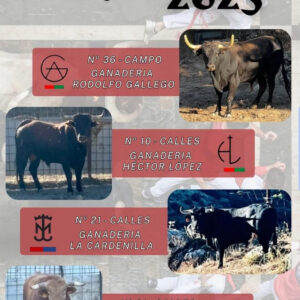 TOROS TORREJON DEL REY DEL 15 AL 17 DE AGOSTO