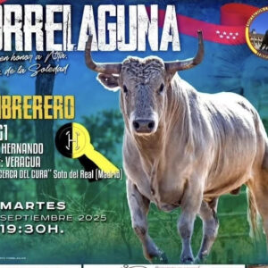 TOROS TORRELAGUNA 2 SEPTIEMBRE 2025