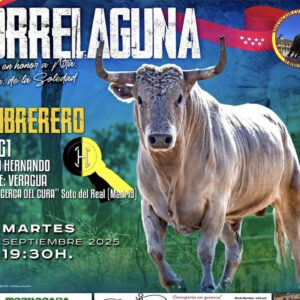 TOROS TORRELAGUNA 2 SEPTIEMBRE 2025