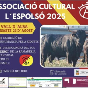 "TOROS VALL D ALBA 23 AGOSTO 2025"