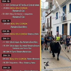TOROS VALLADA DEL 18 AL 23 DE AGOSTO 2025
