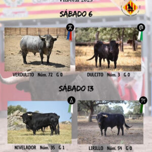 TOROS VILA REAL 13 SEPTIEMBRE 2025