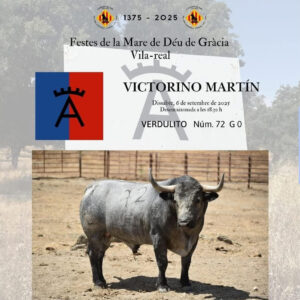 TOROS VILA REAL 6 SEPTIEMBRE 2025