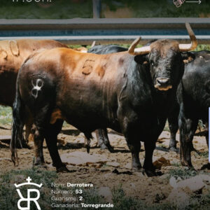 TOROS VILAFRANCA 13 AGOSTO 2025