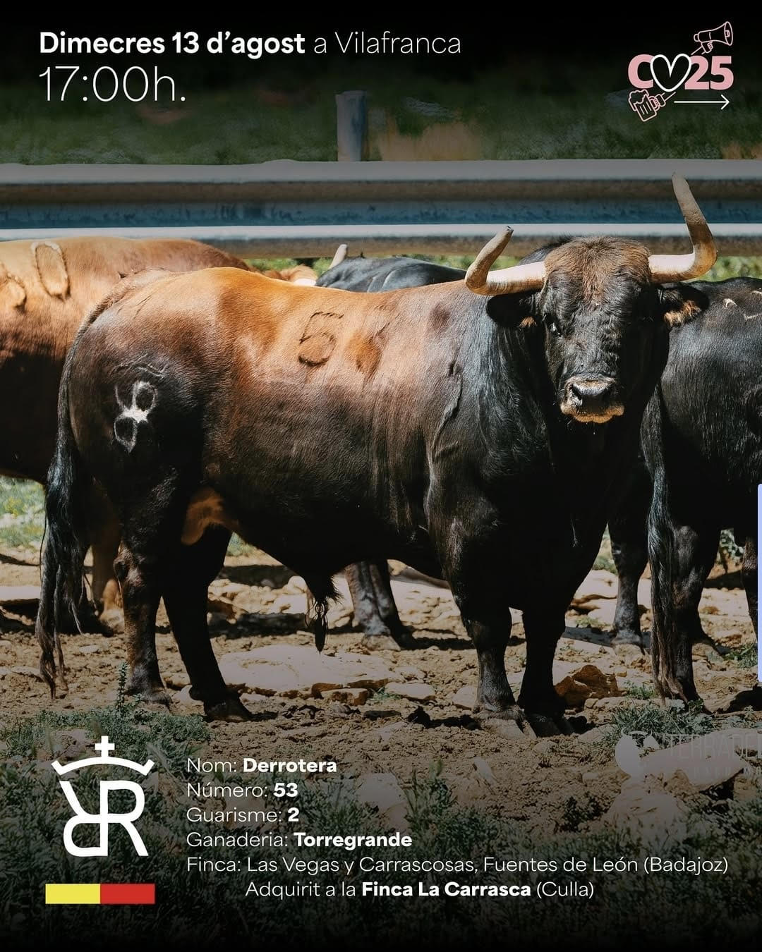 TOROS VILAFRANCA 13 AGOSTO 2025