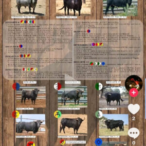 TOROS VILAREAL DEL 5 AL 14 SEPTIEMBRE 2025