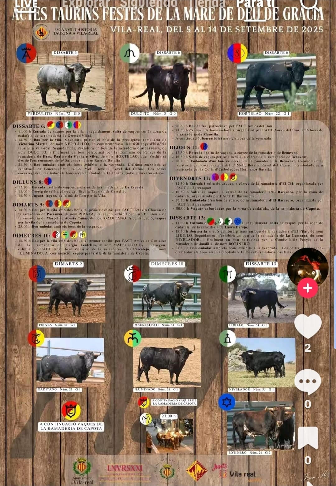 TOROS VILAREAL DEL 5 AL 14 SEPTIEMBRE 2025