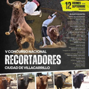 TOROS VILLACARRILLO 12 SEPTIEMBRE 2025