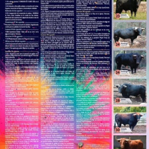 TOROS VILLAHERMOSA DEL RIO DEL 21 AL 31 DE AGOSTO 2025