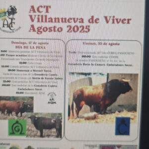 TOROS VILLANUEVE DE VIVER 17 AGOSTO 2025