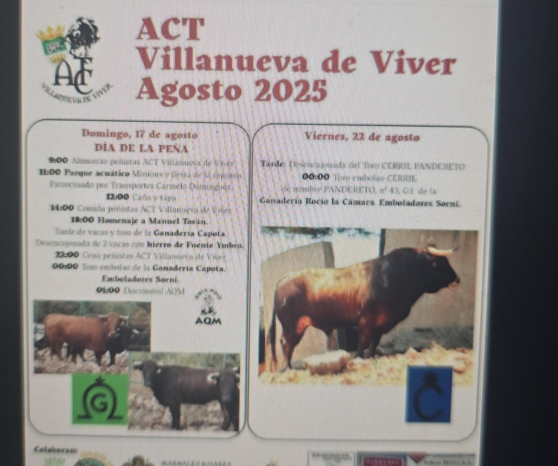 TOROS VILLANUEVE DE VIVER 17 AGOSTO 2025