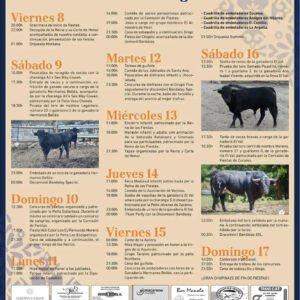 TOROS VILLAR DE ZUCAINA DEL 8 AL 17 AGOSTO 2025