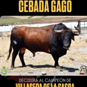 TOROS VILLASECA DE LA SAGRA 8 DE AGOSTO 2025