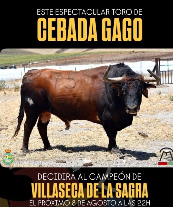 TOROS VILLASECA DE LA SAGRA 8 DE AGOSTO 2025