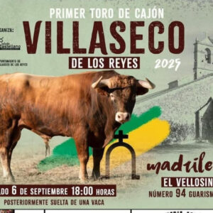 TOROS VILLASECA DE LOS REYES 6 SEPTIEMBRE 2025