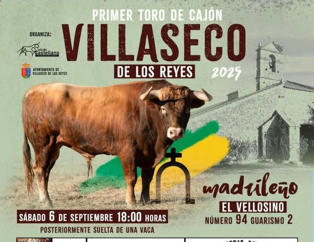 TOROS VILLASECA DE LOS REYES 6 SEPTIEMBRE 2025