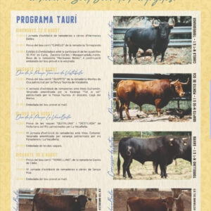 TOROS VISTABELLA 28 AGOSTO 2025