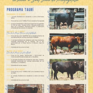 TOROS VISTABELLA 28 Y 30 DE AGOSTO 2025