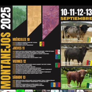 MONTANEJOS 13 SEPTIEMBRE 2025