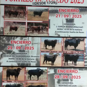 TOROS ENCIERRO PORTILLO DE TOLEDO 21 SEPTIEMBRE 2025