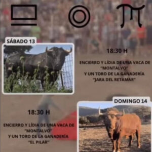 TOROS ALAGON DEL RIO 13 Y 14 SEPTIEMBRE 2025