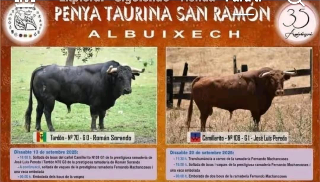 TOROS ALBUIXECH 13 SEPTIEMBRE 2025