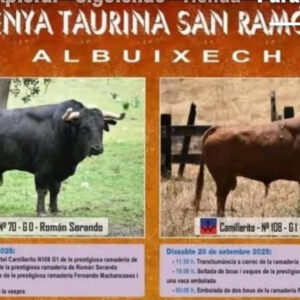 TOROS ALBUIXECH 20 SEPTIEMBRE 2025