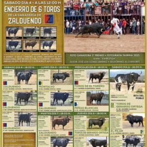 TOROS ALMASSORA 11 DE OCTUBRE 2025