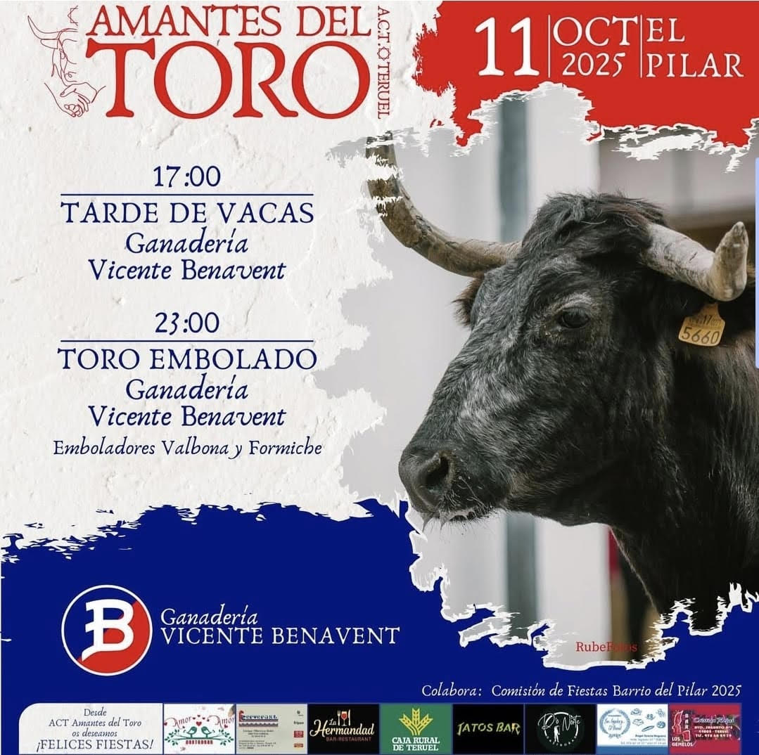 TOROS AMANTES DE TORO 11 OCTUBRE 2025