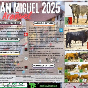 TOROS ARAÑUEL 29 SETIEMBRE 2025