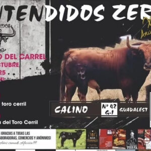 TOROS BARRIO CARREL TERUEL 4 OCTUBRE 2025